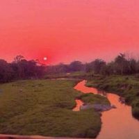 2022龚姓虎婴儿名称方法和推荐