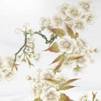 车牌50选一可以选几次 网上自编看大吉车牌号码