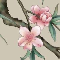 男女什么八字缘分深 五行看两人是否有缘分