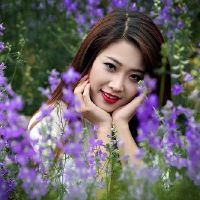 十二个星座，把爱作为必要性