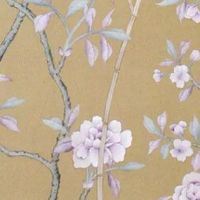 克夫痣旺夫痣都在哪里 左眉长痣主财旺夫