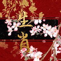 2022年考试运最好生肖 运势爆棚要认真复习