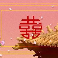 八岁的婚姻，锦鲤，最佳婚姻，制药，日本