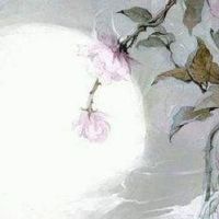 2022年属猴人在3月感情运势 3月有望脱单遇正缘吗