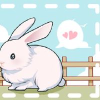 属兔人2022年桃花运 吉星帮助桃花运好