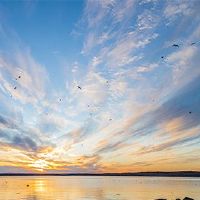 2022年的最佳财富是什么?