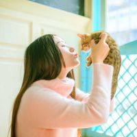 港口基础没有脾气生肖