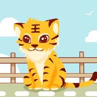 在第74届,虎11月份的命运是如何“帮助的利益”