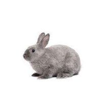 挂钩女孩喜欢的男人的特征是什么?