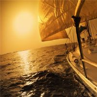 什么类型的大老板是12个星座?