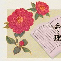 寅流流日日解解解解解喜喜喜喜喜喜喜喜