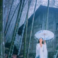 真诚地或虚伪？ 12生肖信誉是多少？