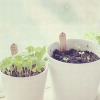 12个星座怀疑反应