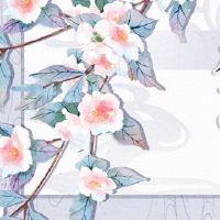 博尔有助于春节，春节，祝你好运