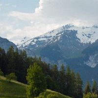 酉酉日日2022壬流流年大大大大