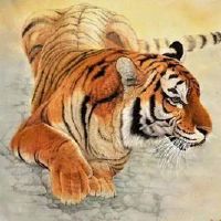 这是一只老虎吗？什么是性格特征？