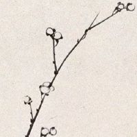 2022年4月27日出生优雅女孩名字免费 属虎起名悦耳动听