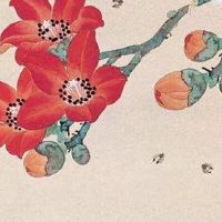 女人智慧线过长而下垂 想象力丰富