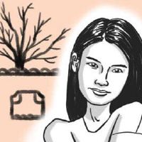 眉毛的女性面孔有一个很好的职业生涯