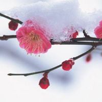 本命年生肖手链怎么戴 本命年左进右出涨财运