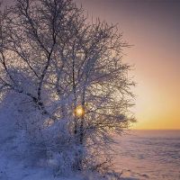 在2020年下半年，12个Contrelors如何开始？