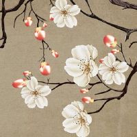 2022年4月27日是出行吉日吗 农历三月二十六可以出远门吗