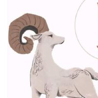 白扶牛2022 2月财富完整版艾迪斯2022幸运色