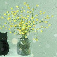 立春吃什么传统食物 吃春饼喜迎春季