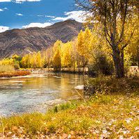 2019年6月11日出生的男性婴儿的名字是什么?