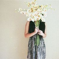 剧烈嘴巴，实际上是最心心的十二生肖