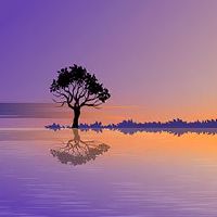 是2022年最繁荣的八个字符吗?生命那是2022年的生活吗?