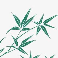 大年初二三不做 正月初二有什么禁忌和说法