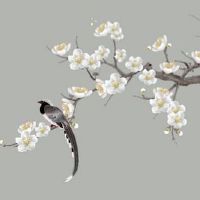 本命年大红色还是酒红色 本命年可以穿橘色吗