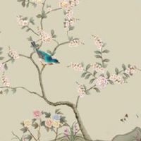 身上有佛光的女人 心地善良无欲无求