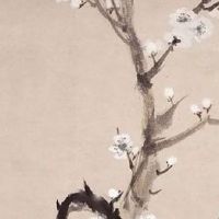 2022年立春干支 22年立春过后是什么年