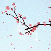 本命年放生有什么讲究 本命年可以随意放生吗