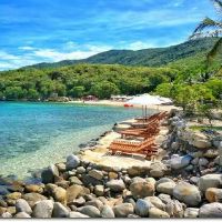 如何在猴子时给出一个名字