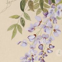 本命年偏财运好不好 偏财求财法