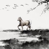 90属马婚姻与命运如何 做事讲究井井有条