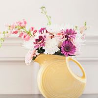 12个星座是悲观主义者或乐观主义者？