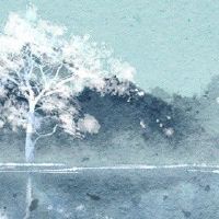 八字身旺喜用神为财官 名正言顺的富贵命