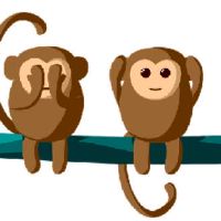 什么是53岁的猴子？