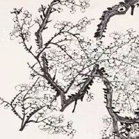 1986年属虎女一生的运势 财运恐有波折