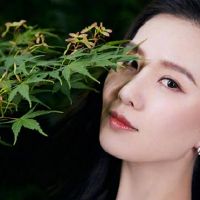 在春节之后,字体的三大星座,一切顺利。