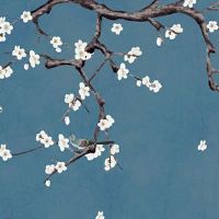 日子查询:2022年5月13日宜搬家吗 这天是不是好日子