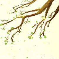 本命年鬼节要把红绳摘下来吗 鬼节晚上能出门吗