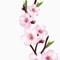 2022年正月份哪天出生的宝宝最好 元宵生子好运降临