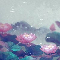 可以将雨水与雨水成分进行比较