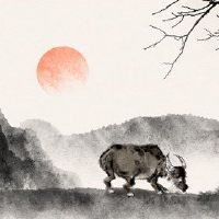 泄漏机：一位小牛2022不幸的月份