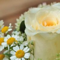 2022年5月22日这天日子好不好 宜结婚办婚礼吗